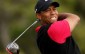 tiger woods