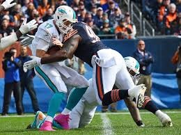 bears vs dolphins